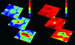 Raman-mikroskopische Ergebnisse für eine Epoxid-/Polyester (EPOX/PES) 1:3 von der Oberfläche (oben) bis zur Nähe des Substrats (unten); rote Flächen kennzeichnen eine Anreicherung, blaue Flächen eine Verarmung an der jeweils betrachteten Komponente. Links sind die auf die Epoxid-Komponente, rechts die auf die Polyester-Komponente bezogenen Anteile aufgeführt. Grafiken: Fraunhofer IPA