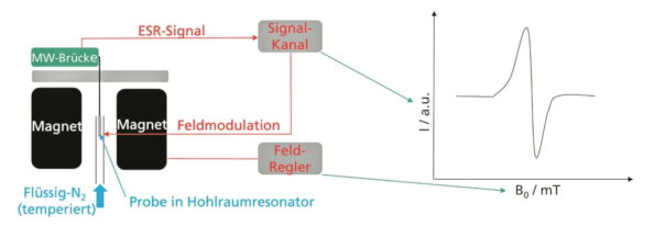 Schematischer Aufbau als Grafik