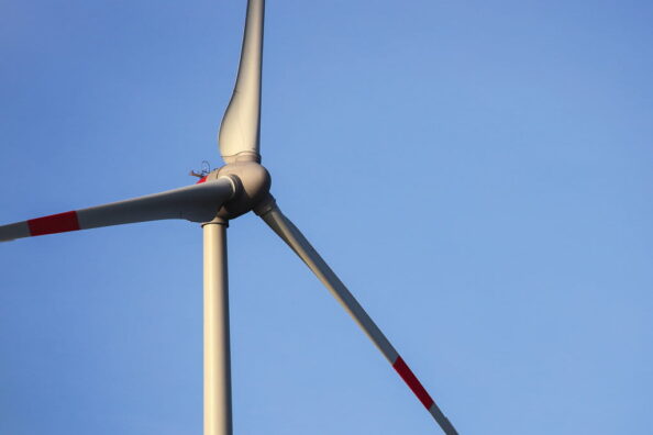 Ziel des Vorhabens es u.a. den Schädigungsmechanismus aufzuklären. Foto: DFO